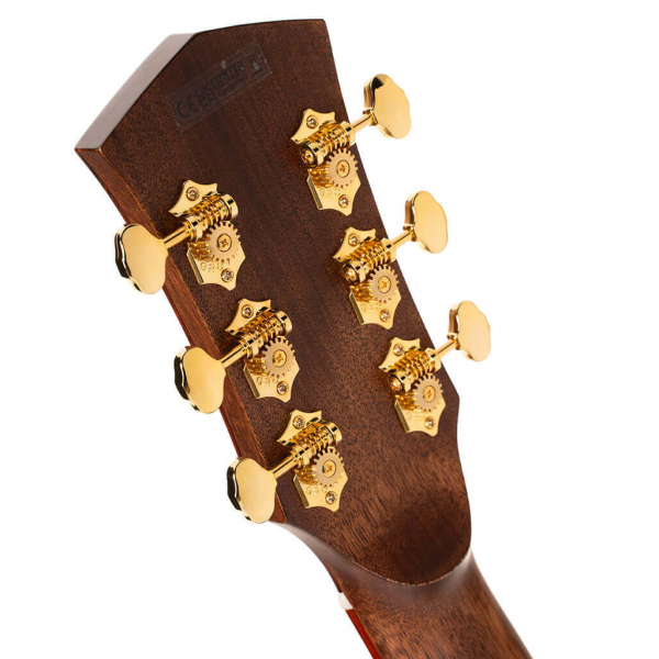 Cort GOLD-A10 Gold Series Cocobolo Acoustic-electric w/Case - Image 5