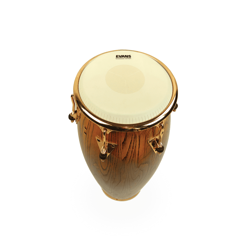 Evans TRI-CENTER 11" Conga Head - Image 2