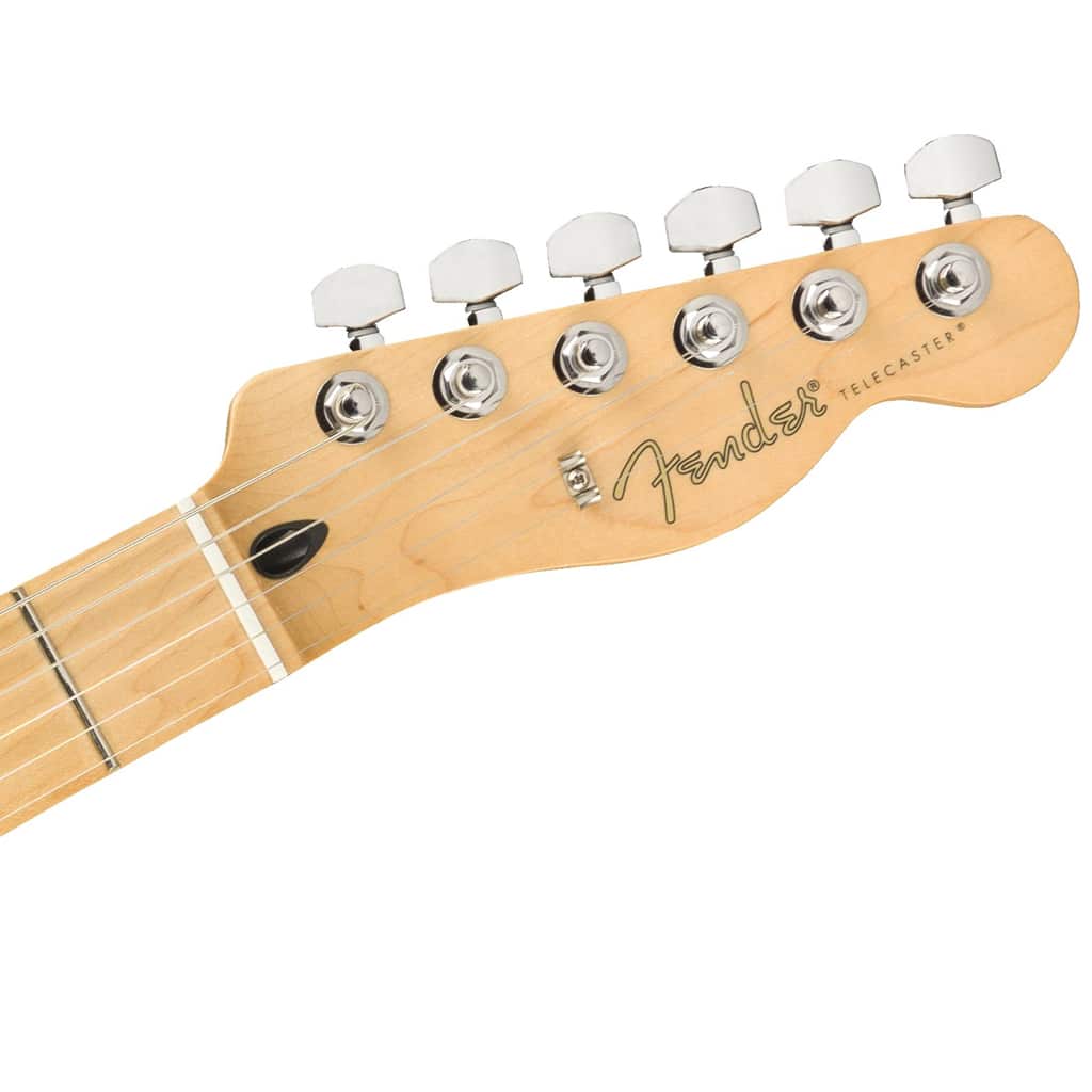 Fender Player Series Telecaster® - Maple Fretboard - Butterscotch Blonde - Image 4