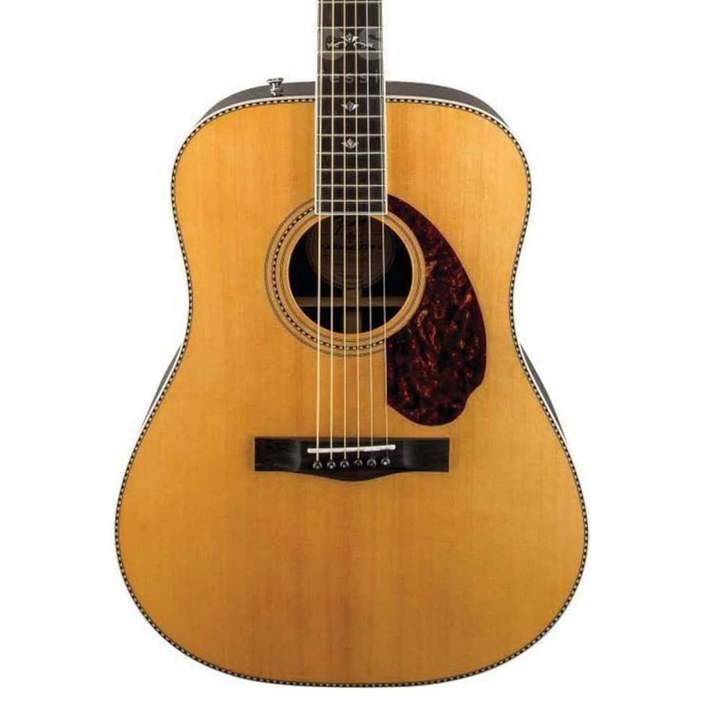 Fender PM-1 Deluxe Dreadnought Natural