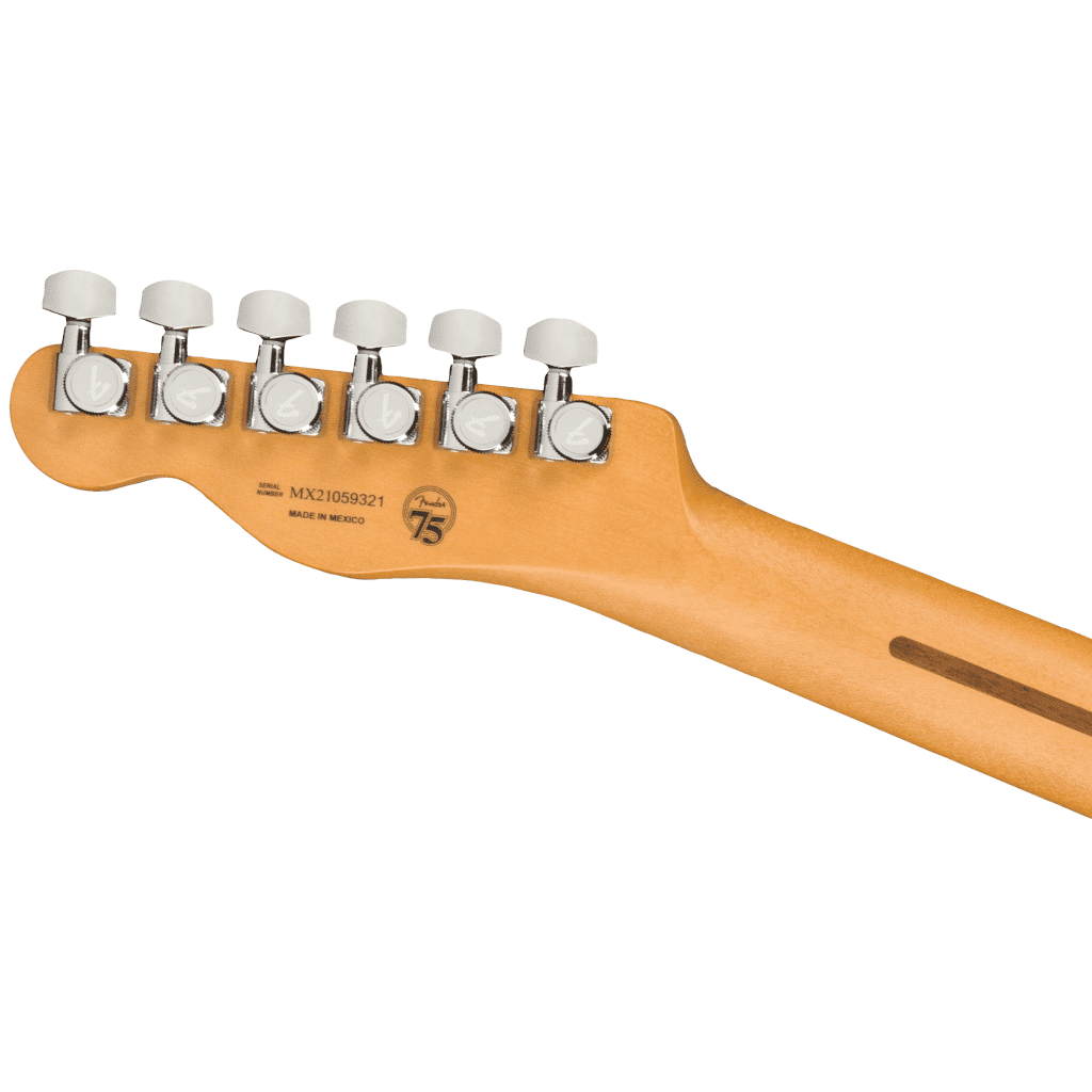 Fender Player Plus Nashville Telecaster® - Maple Fretboard - Butterscotch Blonde - Image 7